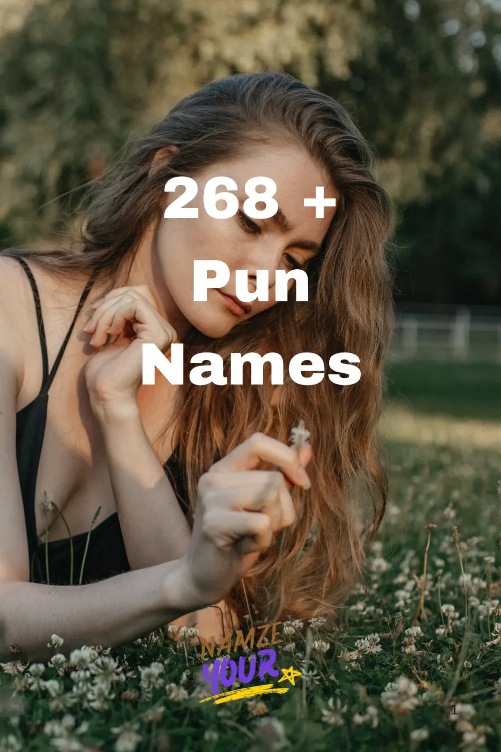 Pun Names